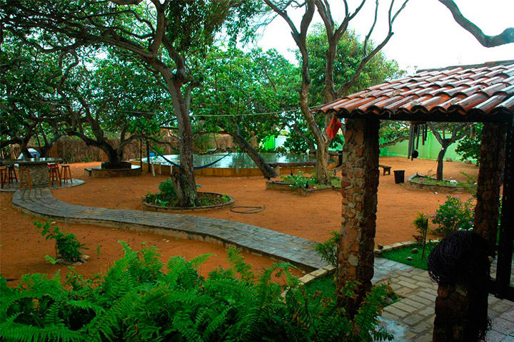 Área externa com árvores e jardim