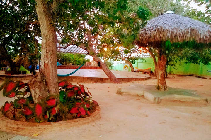 Jardim de pousada com árvores e pista de dança