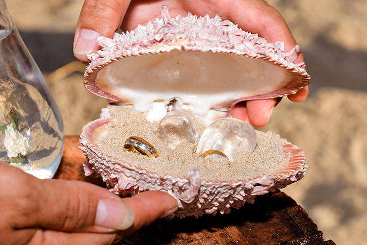 Alianças de casamento dentro de concha da praia