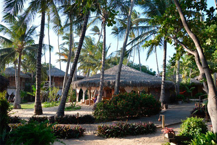 Área de lazer do Hotel Vila Kalango com árvores e coqueiros