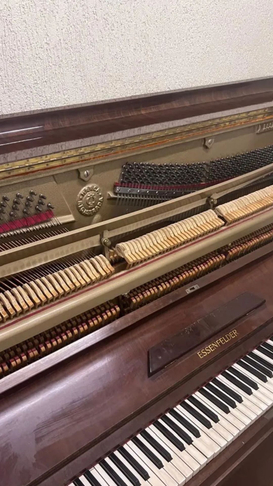 piano-essenfelder-venda